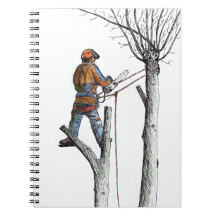 Sycamore and 020t notebook