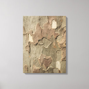 Sycamore Bark Stretched Canvas Art