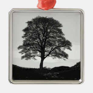 Sycamore Gap Ceramic Ornament