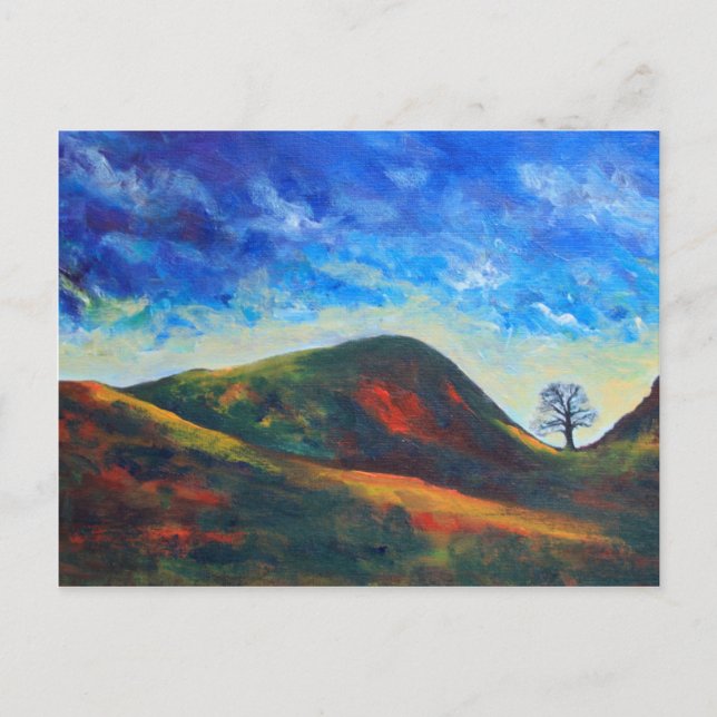 Sycamore Gap Postcard (Front)