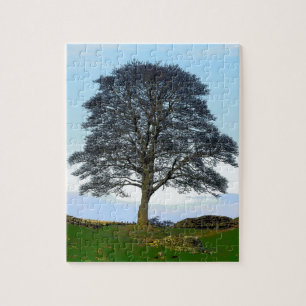 Sycamore Gap Puzzle/Jigsaw Jigsaw Puzzle