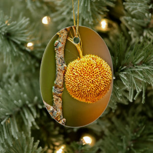 Sycamore Seed Ball Oval Ceramic Tree Decoration