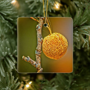 Sycamore Seed Ball Square Ceramic Ornament