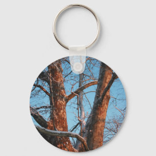 Sycamore Sunrise Key Ring