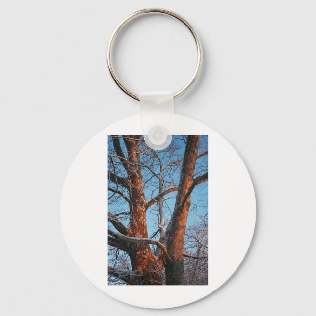 Sycamore Sunrise Key Ring (Front)