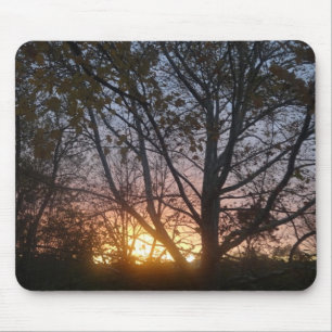 Sycamore Sunrise Mouse Mat