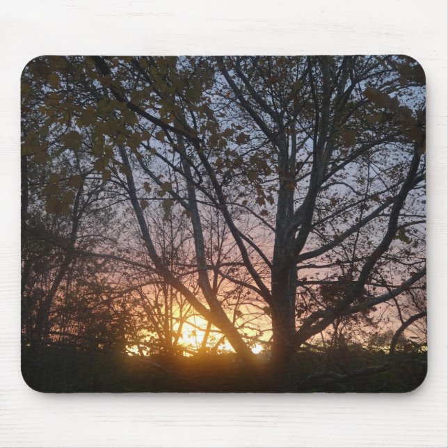 Sycamore Sunrise Mouse Mat (Front)