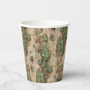 Sycamore Tree Bark Moss Lichen Paper Cups