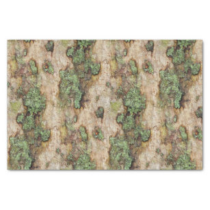 Sycamore Tree Bark Moss Lichen Tissue Paper