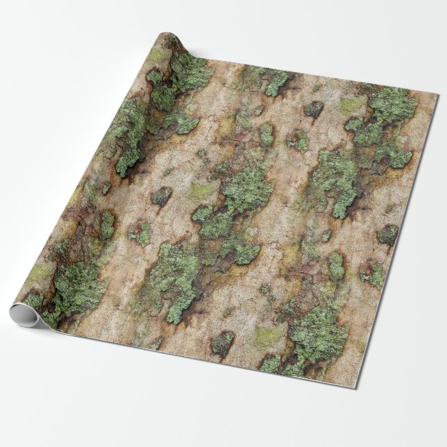 Sycamore Tree Bark Moss Lichen Wrapping Paper (Unrolled)