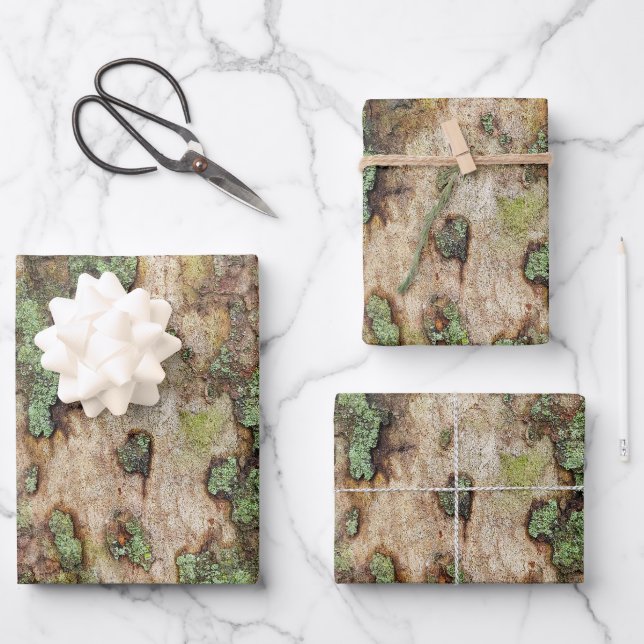 Sycamore Tree Bark Moss Lichen Wrapping Paper Sheet (Front)