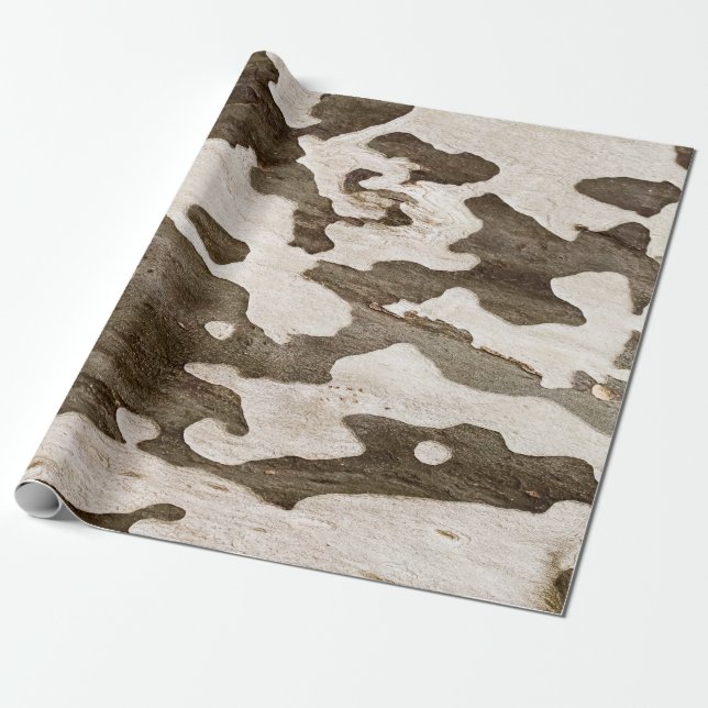 Sycamore Tree Bark Wrapping Paper (Unrolled)