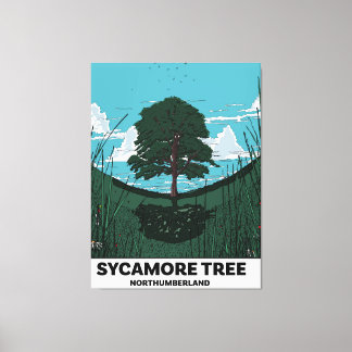 Sycamore Tree Gap Canvas Print