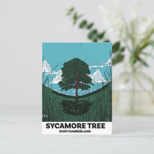 Sycamore Tree Gap Holiday Postcard