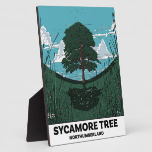 Sycamore Tree Gap Plaque