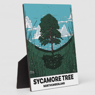 Sycamore Tree Gap Plaque