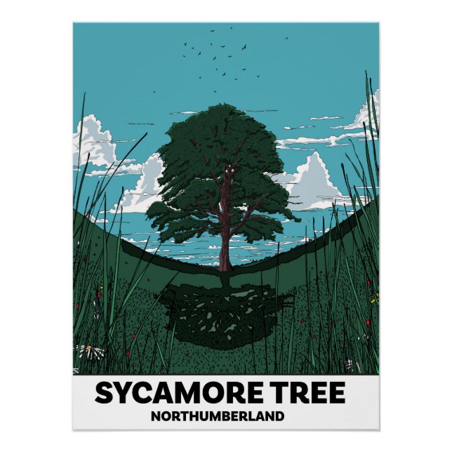 Sycamore Tree Gap Poster (Front)