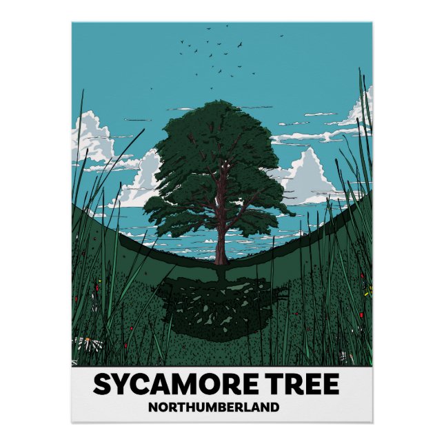 Sycamore Tree Gap Poster (Front)