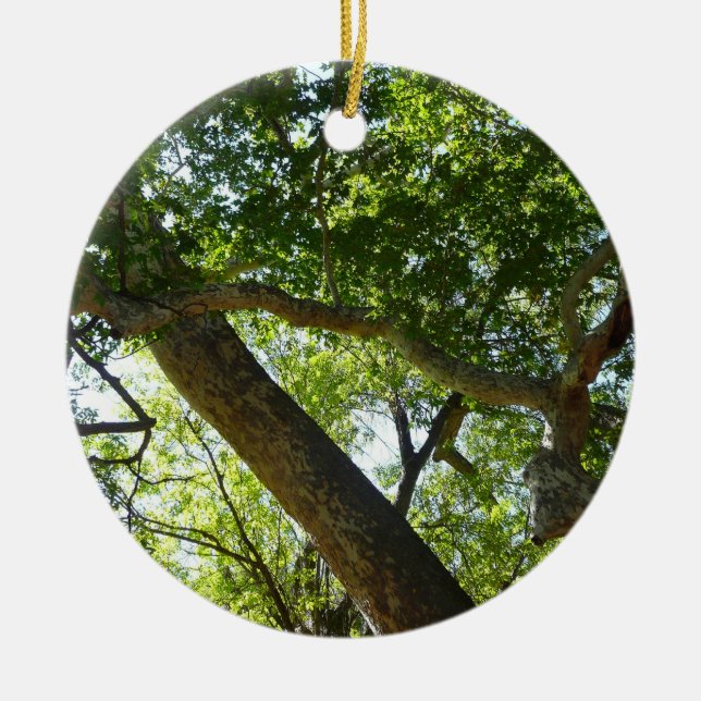 Sycamore Tree Green Nature Ceramic Tree Decoration (Front)