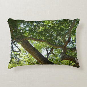 Sycamore Tree Green Nature Decorative Cushion