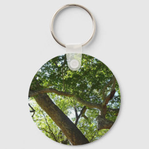 Sycamore Tree Green Nature Key Ring