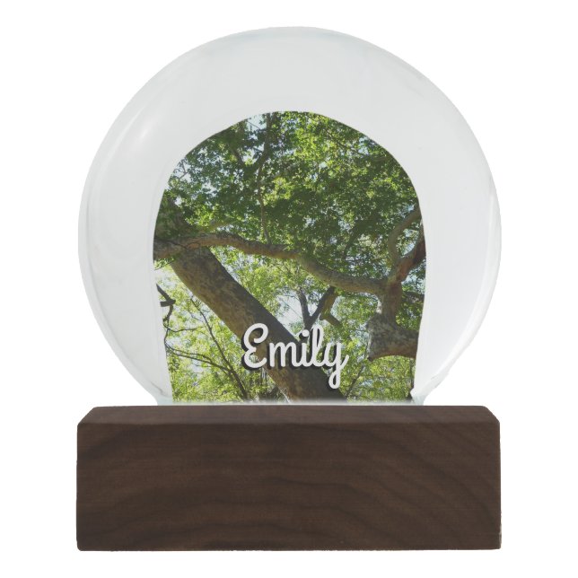 Sycamore Tree Green Nature Snow Globe (Front)