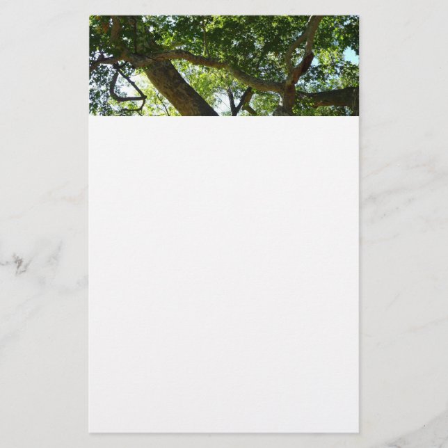 Sycamore Tree Green Nature Stationery (Front)