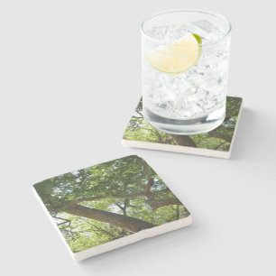 Sycamore Tree Green Nature Stone Coaster