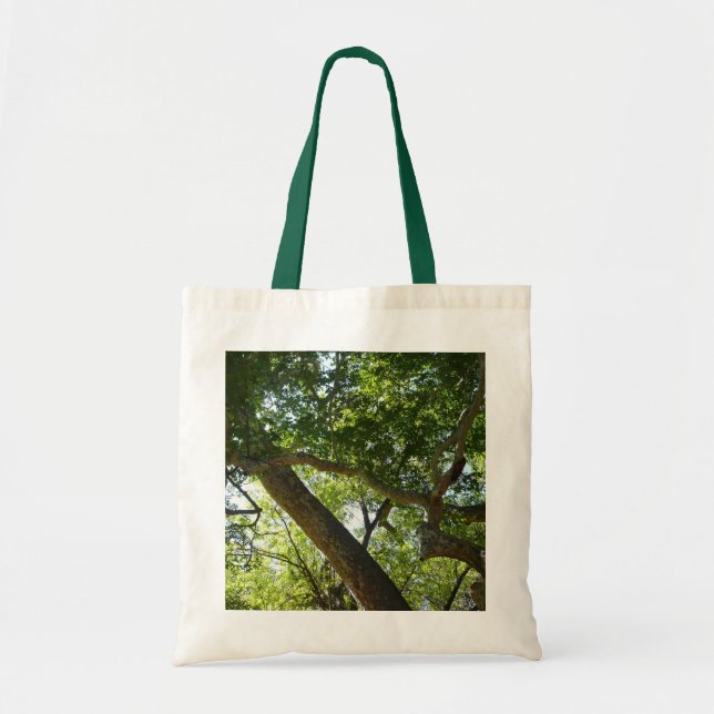 Sycamore Tree Green Nature Tote Bag (Front)