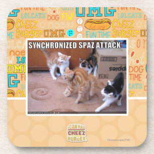 Sychronized Spaz Attack Coaster