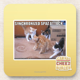 Sychronized Spaz Attack Coaster
