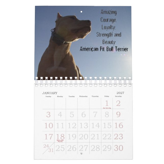 Sydney and Ziggi 2009 Calendar (Jan 2027)