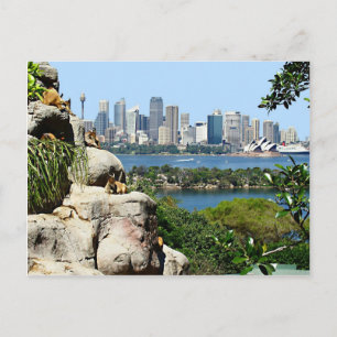 Sydney Harbour from the Zoo Postcard
