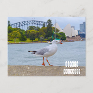 Sydney in Australia Postcard