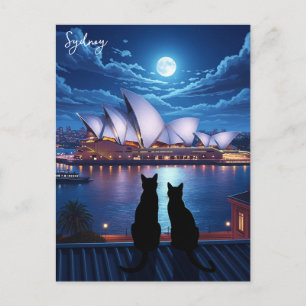Sydney Opera House Australia cats at night Postcard