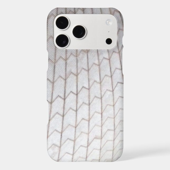 sydney opera shell (Back)