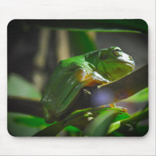 Sydney Zoo - Green Tree Frog Mouse Mat