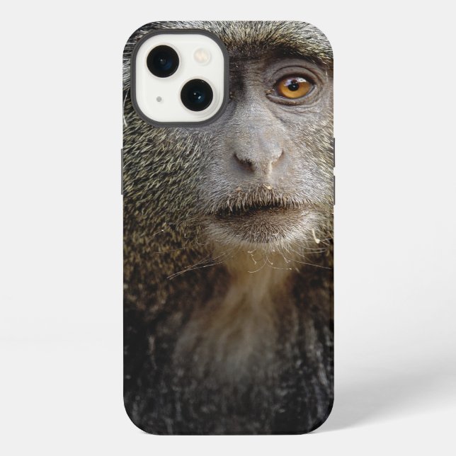Sykes or Blue Monkey, Cercopithecus mitis, iPhone Case (Back)
