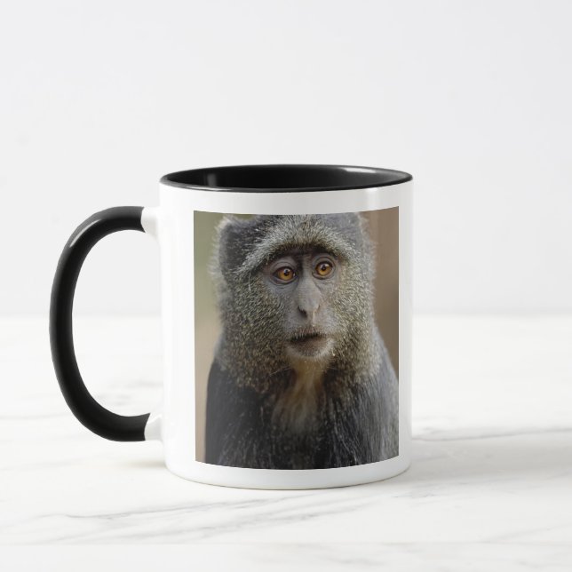 Sykes or Blue Monkey, Cercopithecus mitis, Mug (Left)