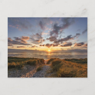 Sylt Island Germany Postcard
