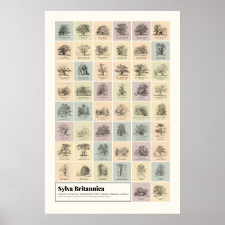 Sylva Britannica Poster