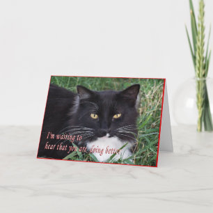 Sylvester-Get Well-customise Card