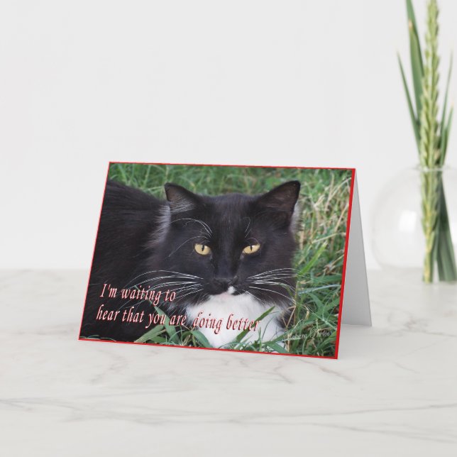 Sylvester-Get Well-customise Card (Front)