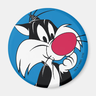Sylvester Jr. Classic Pose Magnet