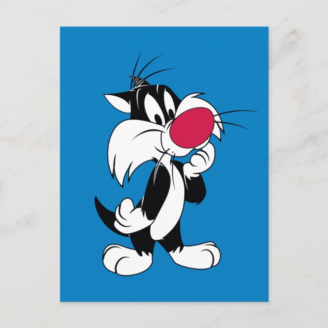 Sylvester Jr. | Classic Pose Postcard (Front)