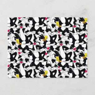 SYLVESTER™ & TWEETY™ Pattern Postcard