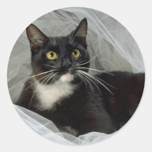 Sylvester's Boudoir Classic Round Sticker