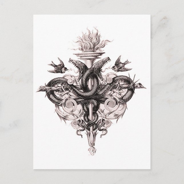 Symbol of Balance Postcard (Front)