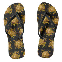 Symbol of Louis XIV the Sun King