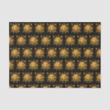 Symbol of Louis XIV the Sun King